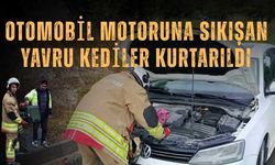 Otomobil Motoruna Sıkışan Yavru Kediler Kurtarıldı