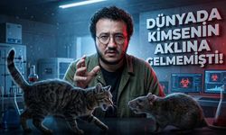 Prof. Dr. Oytun Erbaş’tan Hantavirüs İçin Tartışmalı Kedi Reçetesi