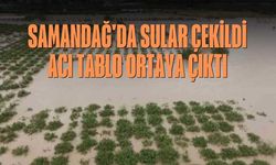 Samandağ'da Sular Çekildi, Acı Tablo Ortaya Çıktı