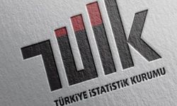 TÜİK Verileri Açıkladı! Gençler İşinden Memnun Ama Kazancından Değil!