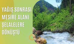 Yağış Sonrası Mesire Alanı Şelalelere Dönüştü
