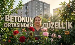 Osmaniye'nin Merkezinde 16 Yıllık Gelenek Görenleri Büyülüyor