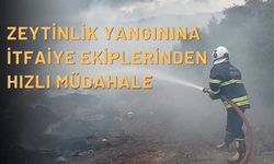 Zeytinlik Yangınına İtfaiye Ekiplerinden Hızlı Müdahale