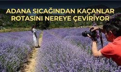 Adana sıcağından kaçanlar rotasını nereye çeviriyor