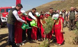 Antakya orman yangınlarından sonra yeşil vatan nasıl korunuyor