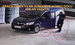 Araca Giren Yılan Sürücüye Korku Dolu Anlar Yaşattı