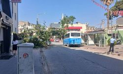 Cumhuriyet'in Koca Çınarı Devrildi