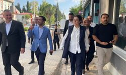 Düziçi'ndeki Sel Felaketinin Ardından Derya Yanık Sahaya İndi