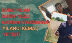 Evine Yılan Giren Yaşlı Kadının Yardımına 'Yılancı Kemal' Yetişti