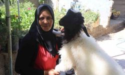 Evladını kaybeden anne teselliyi buldu