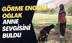 Görme Engelli Oğlak Anne Sevgisini Nasıl Buldu?