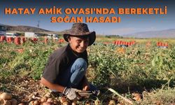 Hatay Amik Ovası'nda Bereketli Soğan Hasadı