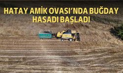 Hatay Amik Ovası’nda Buğday Hasadı Başladı