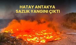 Hatay Antakya Sazlık Yangını Çıktı