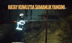 Hatay Kumlu'da Samanlık Yangını
