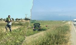 Hatay'da Bedava Karpuz İzdihamı