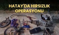 Hatay'da hırsızlık operasyonu