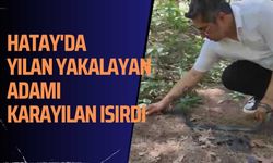 Hatay'da Yılan Yakalayan Adamı Karayılan Isırdı