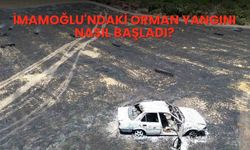 İmamoğlu'ndaki orman yangını nasıl başladı?