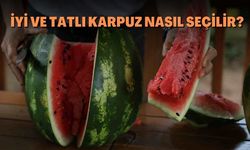 İyi ve Tatlı Karpuz Nasıl Seçilir Sırrı Sadece Çıkan Seste mi Saklı?