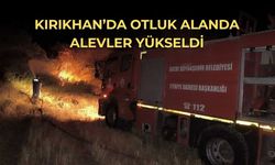 Kırıkhan’da Otluk Alanda Alevler Yükseldi