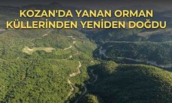 Kozan'da Yanan Orman Küllerinden Yeniden Doğdu
