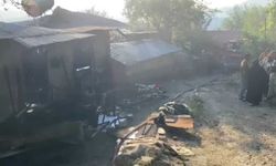 Kozan'da Yayla Evinden Ormana Sıçrayan Yangın Söndürüldü