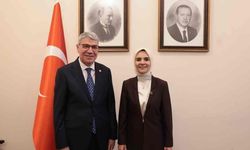 Osmaniye İçin TBMM'de Kritik Görüşme!