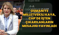 Osmaniye Milletvekili Kaya, CHP'de işten çıkarılanların mesajını yayınladı