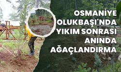 Osmaniye Olukbaşı'nda Yıkım Sonrası Anında Ağaçlandırma