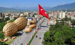 Osmaniye Yer Fıstığının En Tuhaf 5 Kullanım Alanı
