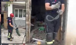 Osmaniye’de Mahalleye Dadanan Yılan Herkesi Tedirgin Etti