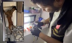 Osmaniye'de Narkotik Operasyon 7 Tutuklanma!