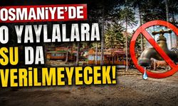 Osmaniye'de o yaylalara su da verilmeyecek!