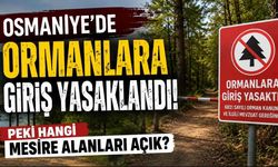 Osmaniye'de Ormanlara Giriş Yasaklandı! Peki Hangi Mesire Alanları Açık?