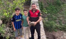 Osmaniye'de Sel Çamuruna Saplanan Kaplumbağayı İtfaiye Kurtardı