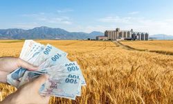 Osmaniyeli Çiftçilerin Beklediği Haber Geldi! TMO 2026 Yılı Hububat Alım Fiyatlarını Açıkladı!