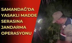 Samandağ’da Yasaklı Madde Serasına Jandarma Operasyonu