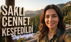Kadirli Sıyrıngaç Yaylası Nerede? Nasıl Gidilir?