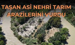 Taşan Asi Nehri Tarım Arazilerini Vurdu