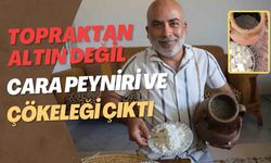 Topraktan Altın Değil, Cara Peyniri ve Çökeleği Çıktı