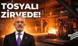 Tosyalı Holding Yıllık Çelik Üretimi Ne Kadar? Osmaniye'den Dünya Zirvesine
