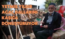 Yetmiş Yıldır Ağaç Dallarını Kaşığa Dönüştürüyor