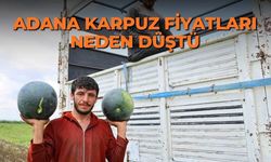 Adana karpuz fiyatları neden düştü