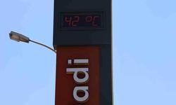 Adana'da termometreler 42 dereceyi gördü