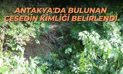 Antakya'da bulunan cesedin kimliği belirlendi