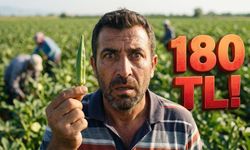 Osmaniye Bamya Üretiminde Rekora Koşarken Etiketler Neden İki Katına Çıktı?