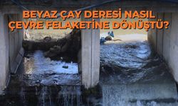 Beyaz Çay Deresi nasıl çevre felaketine dönüştü?