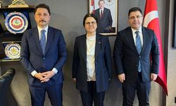 Cezaevlerinde İnsan Hakları Standartları TBMM'de Masaya Yatırıldı