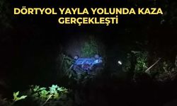 Dörtyol yayla yolunda kaza gerçekleşti